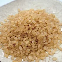 GABA