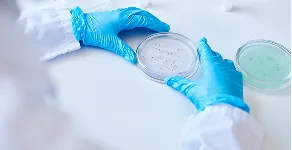 微生物検査