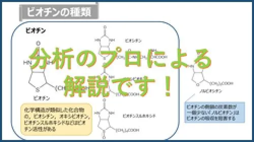 【ビタミン解説シリーズ】もっと知りたいビオチンセミナー