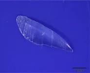プラスチックの外観写真