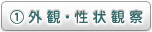 外観・性状観察