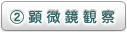 顕微鏡観察