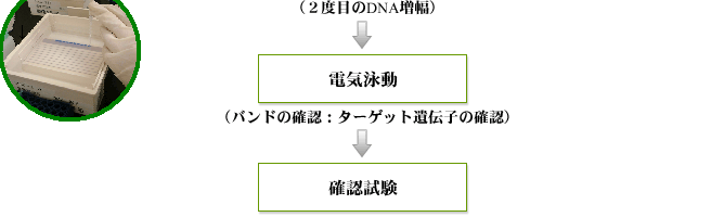 検査法