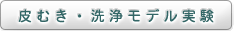 皮むき・洗浄モデル実験
