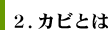 ２.カビとは
