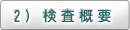 2）検査概要