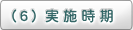 （６）実施時期