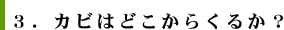 3.カビはどこからくるか？