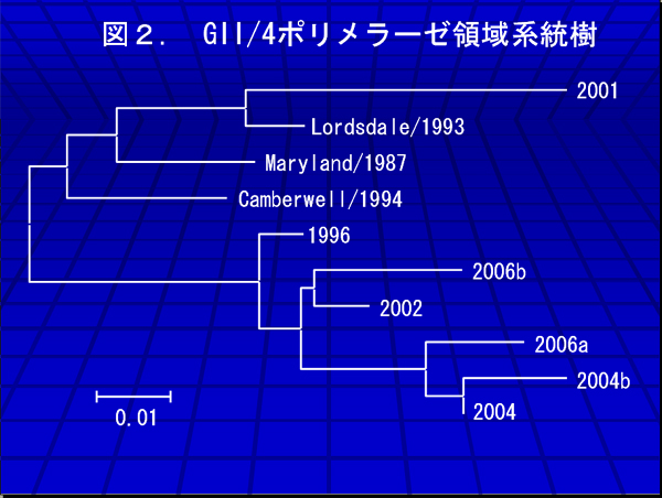 図2.GII/4ポリメラーゼ領域系統樹
