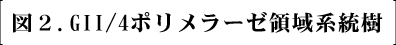 図2.GII/4ポリメラーゼ領域系統樹