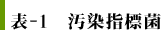 表-1　汚染指標菌