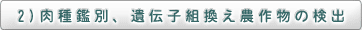 2）肉種鑑別、遺伝子組換え農作物の検出