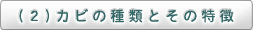 （2）カビの種類とその特徴