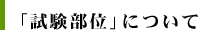 「試験部位」について