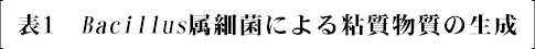 表1　Bacillus属細菌による粘質物質の生成