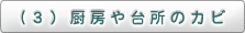 （3）厨房や台所のカビ