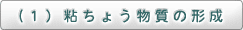 （1）粘ちょう物質の形成