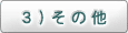 3）その他