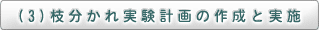 （3）枝分かれ実験計画の作成と実施