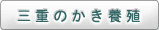 三重のかき養殖