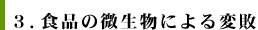 二枚貝による伝播様式