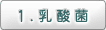 1.乳酸菌