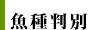 魚種判別