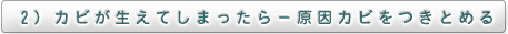 2）カビが生えてしまったら－原因カビをつきとめる