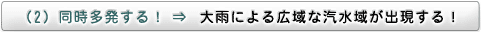 （2）同時多発する！⇒　大雨による広域な汽水域が出現する！