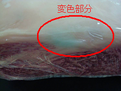 図4：外観写真