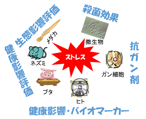 図2.網羅的ストレス応答解析の出口