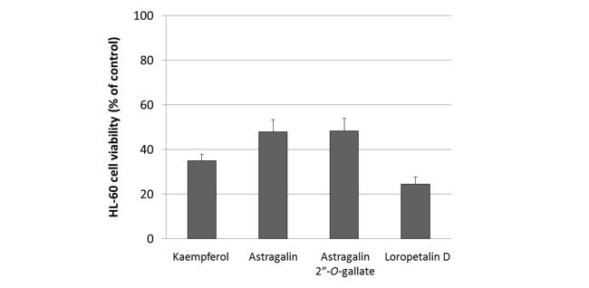 Kaempferol, Astragalin, Astragalin 2”-O-gallateおよびLoropetalin DのHL-60細胞に対する細胞増殖抑制能の比較(means ± SEMs, n = 6)