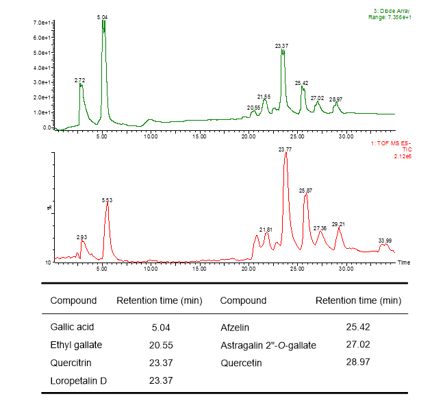 香椿の葉の酢酸エチル層(TSL)のUPLC-MS分析