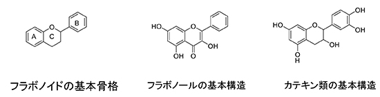 図2.フラボノイド類の基本構造